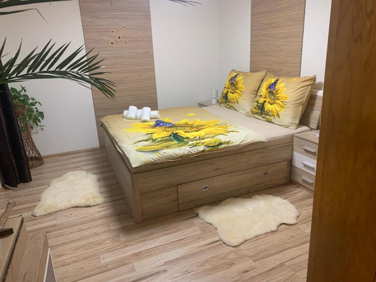 Apartman Slunecnice S Terasou Τσέσκε Μπουντεγιόβιτσε Εξωτερικό φωτογραφία