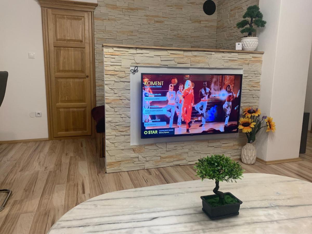 Apartman Slunecnice S Terasou Τσέσκε Μπουντεγιόβιτσε Εξωτερικό φωτογραφία
