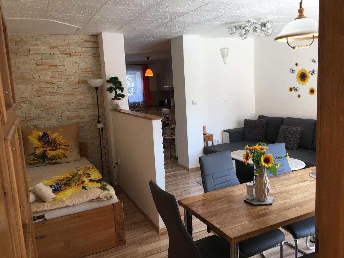 Apartman Slunecnice S Terasou Τσέσκε Μπουντεγιόβιτσε Εξωτερικό φωτογραφία