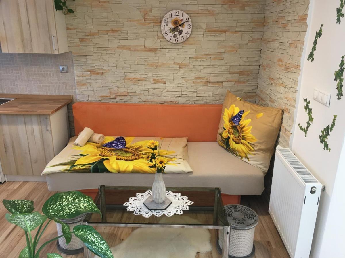 Apartman Slunecnice S Terasou Τσέσκε Μπουντεγιόβιτσε Εξωτερικό φωτογραφία