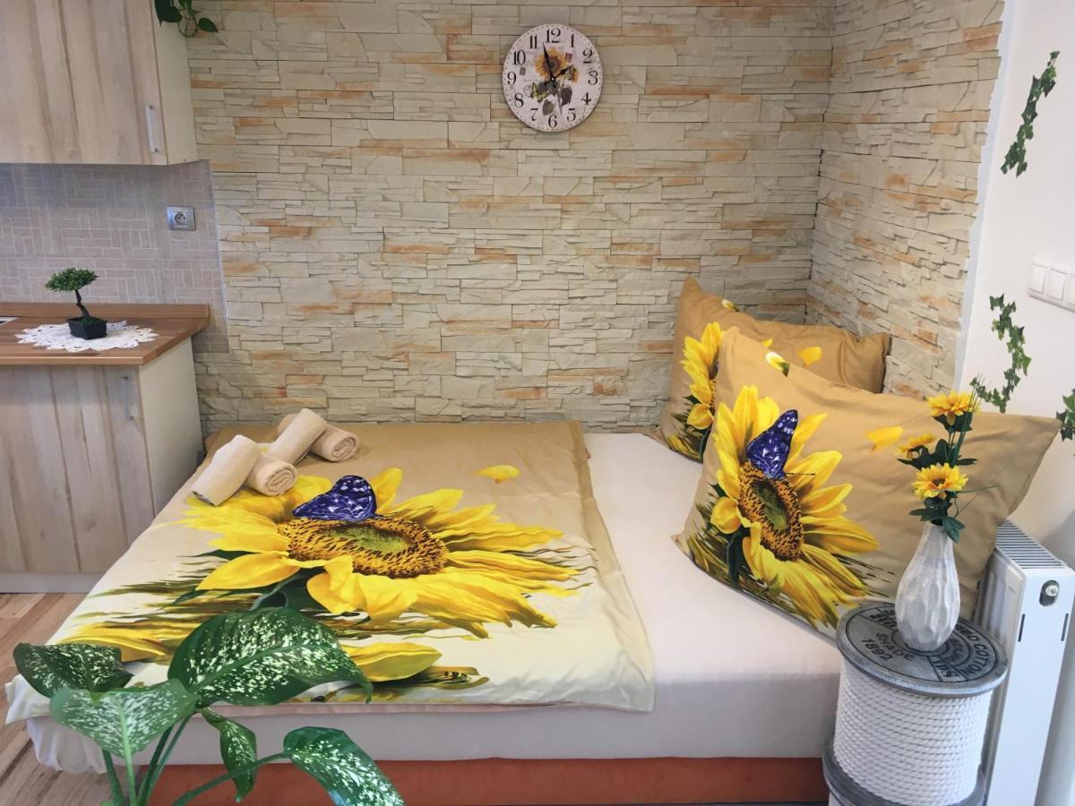 Apartman Slunecnice S Terasou Τσέσκε Μπουντεγιόβιτσε Εξωτερικό φωτογραφία