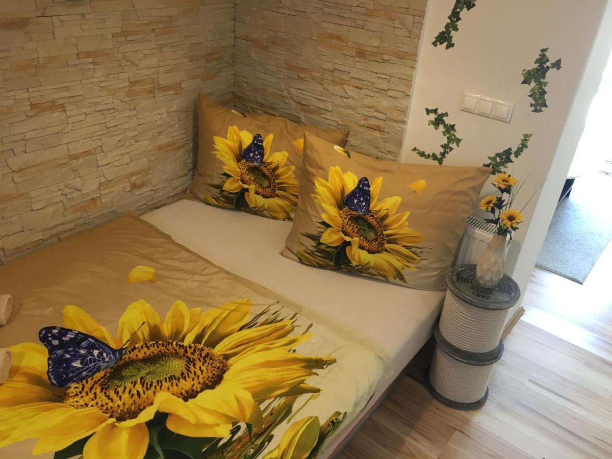 Apartman Slunecnice S Terasou Τσέσκε Μπουντεγιόβιτσε Εξωτερικό φωτογραφία